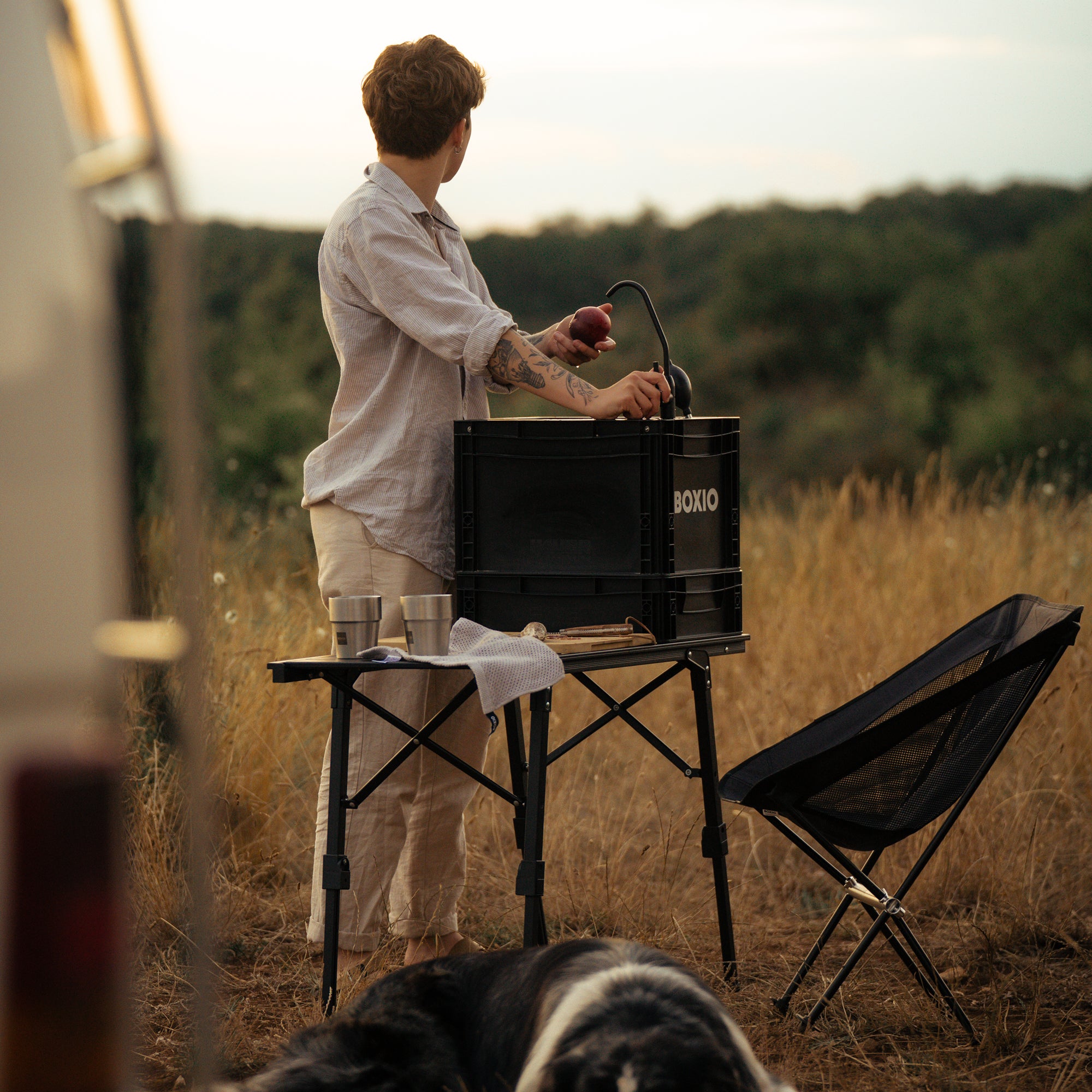 BOXIO TABLE PLUS I 2-in-1 table and hanging shelf